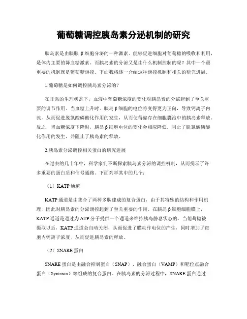 葡萄糖调控胰岛素分泌机制的研究