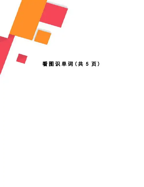 看图识单词