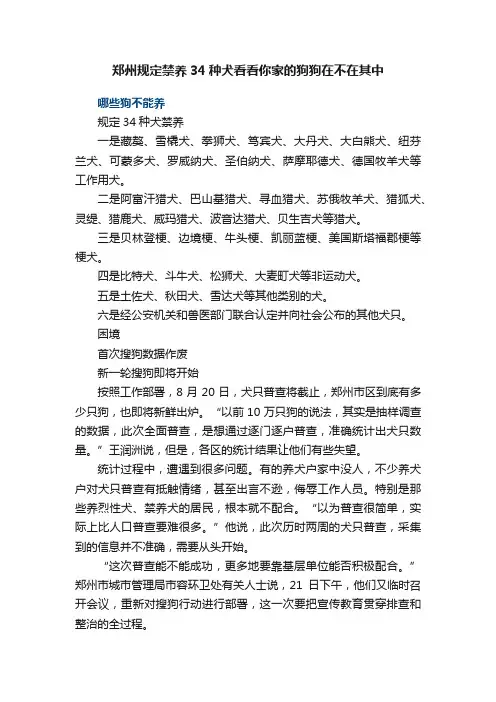郑州规定禁养34种犬看看你家的狗狗在不在其中