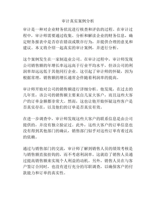 审计真实案例分析