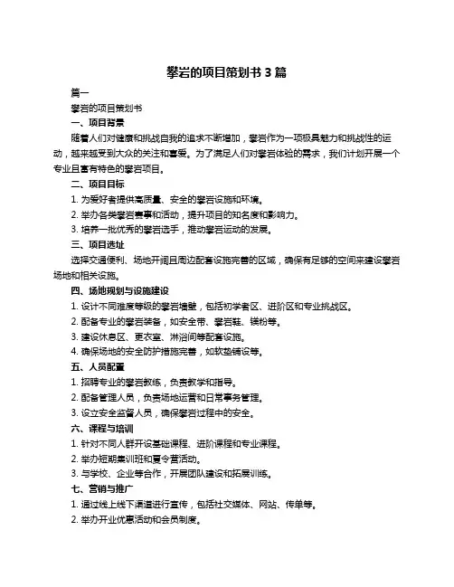 攀岩的项目策划书3篇