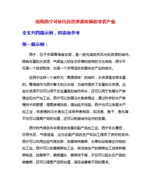 说明西宁可依托自然资源发展的非农产业