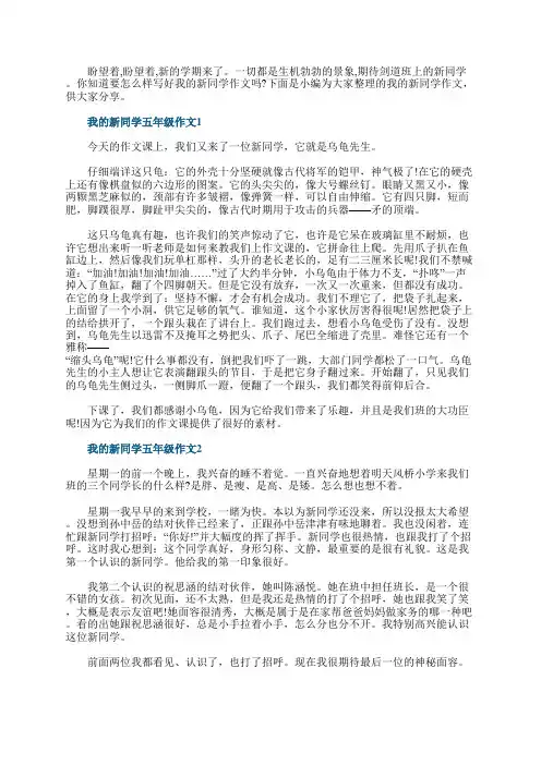 我的新同学五年级500字左右作文