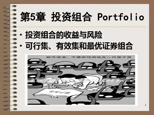 第五章投资组合