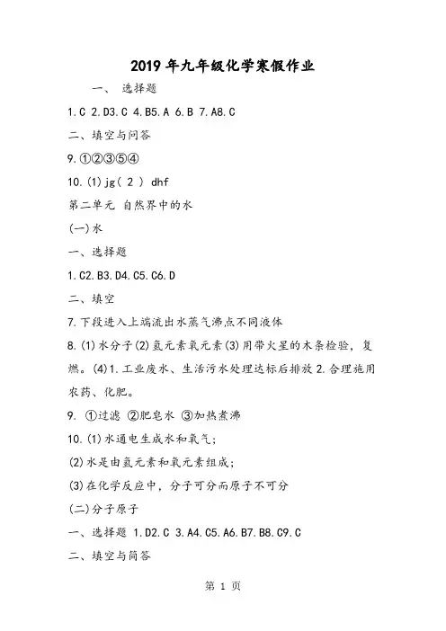 2019九年级化学寒假作业精品教育.doc