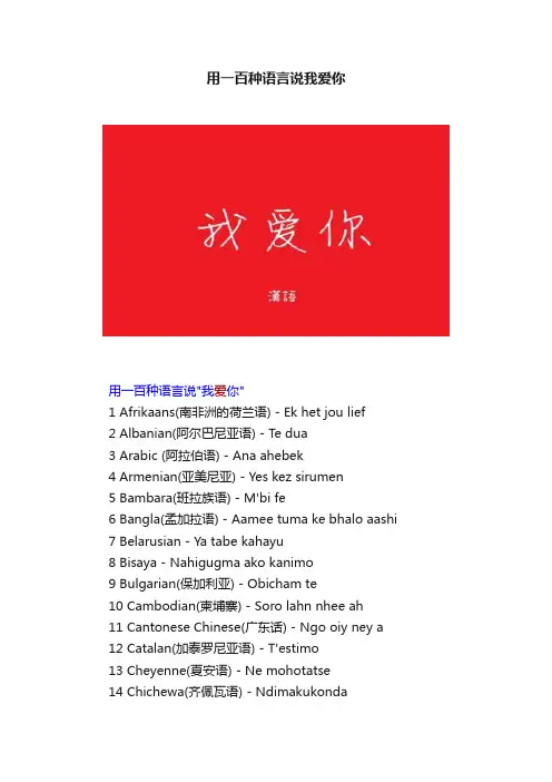 用一百种语言说我爱你