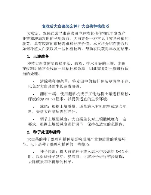 麦收后大白菜怎么种大白菜种植技巧