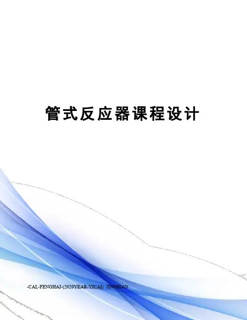 管式反应器课程设计