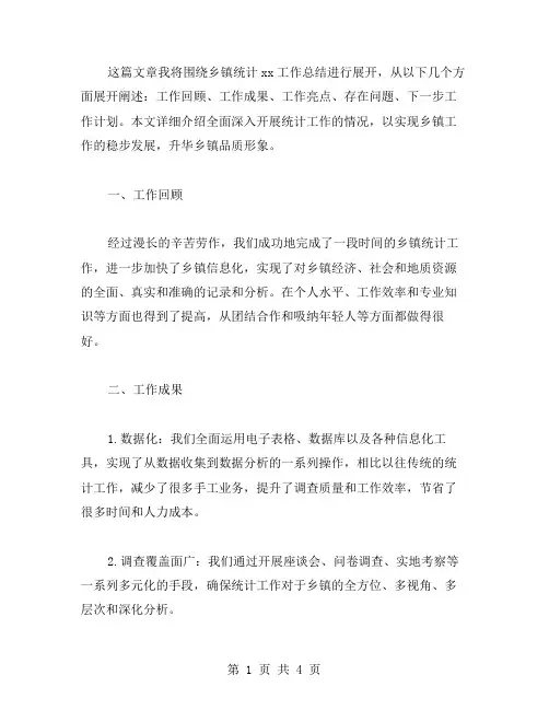 乡镇统计xx工作总结范文