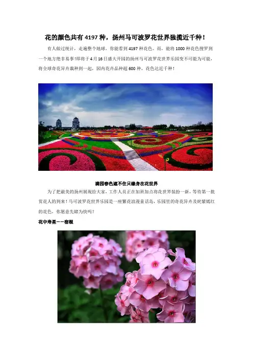 花的颜色共有4197种,扬州马可波罗花世界独揽近千种!(已删减)