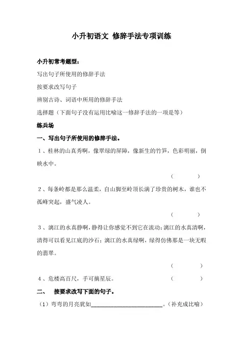 小升初语文 修辞手法专项训练  含答案  优质新