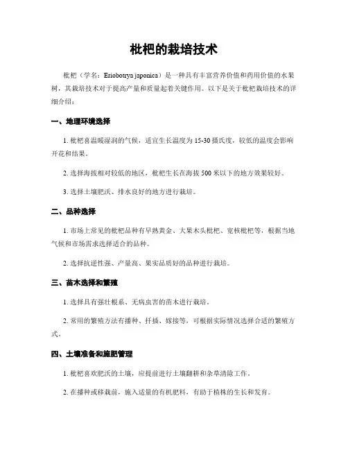 枇杷的栽培技术