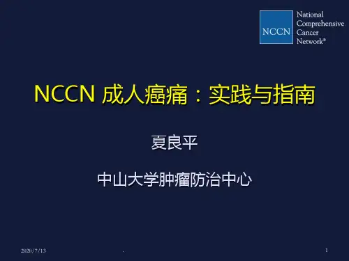 癌痛指南与实践PPT课件