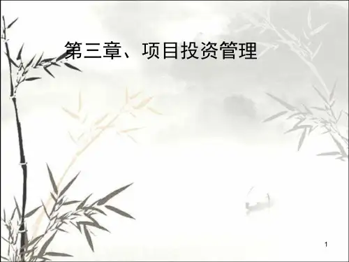 项目投资管理 PPT课件