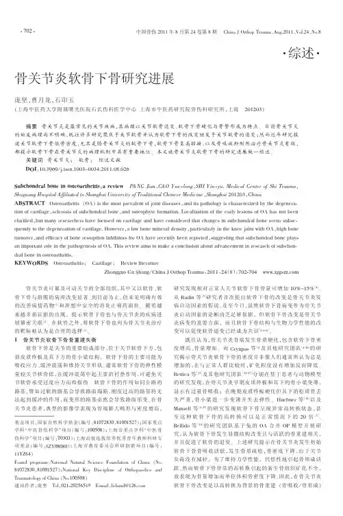 骨关节炎软骨下骨研究进展