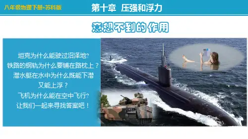 物体的浮与沉(课件)-苏科版八年级物理下册