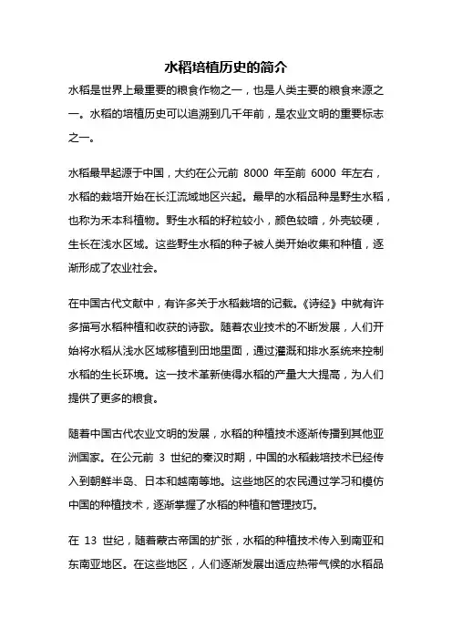 水稻培植历史的简介