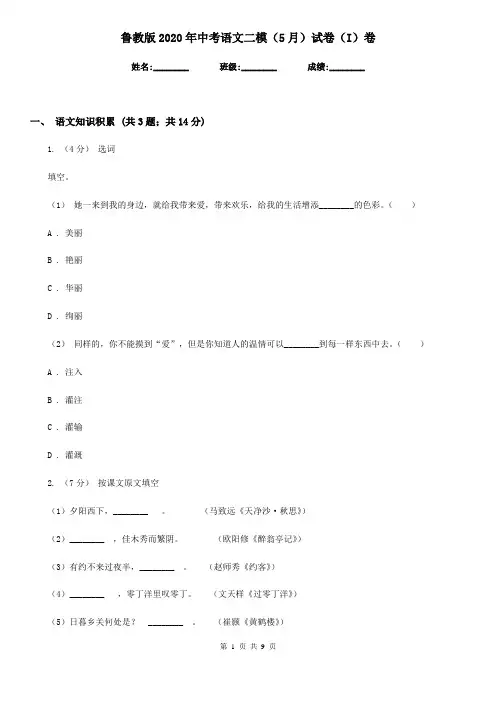 鲁教版2020年中考语文二模(5月)试卷(I)卷