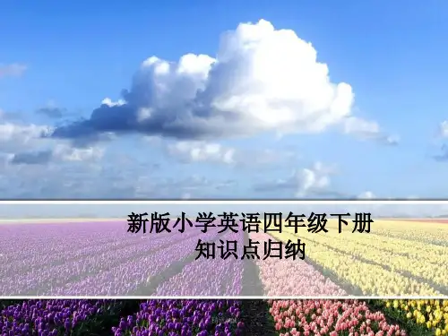 人教版最新PEP英语四年级下册复习PPT课件