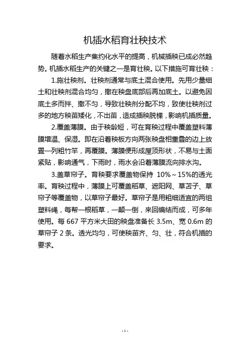 机插水稻育壮秧技术
