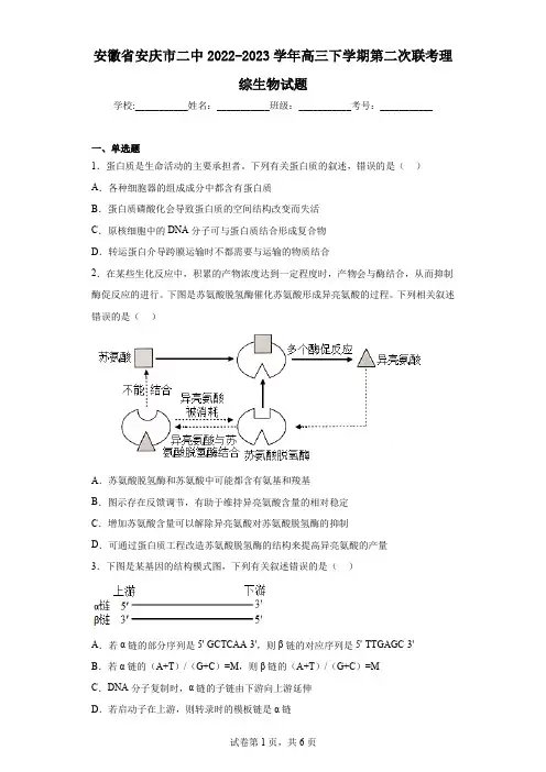安徽省安庆市二中2022-2023学年高三下学期第二次联考理综生物试题(含答案)