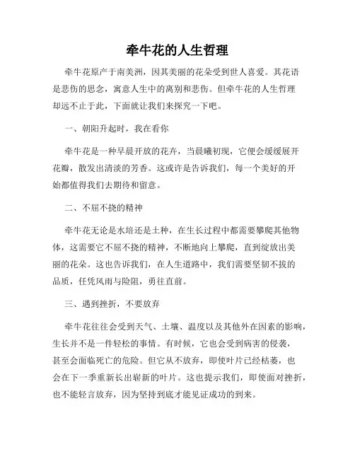 牵牛花的人生哲理
