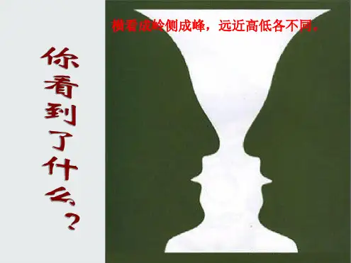 《学习选取立论的角度》ppt课件