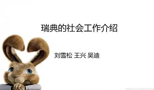 瑞典的社会工作介绍1