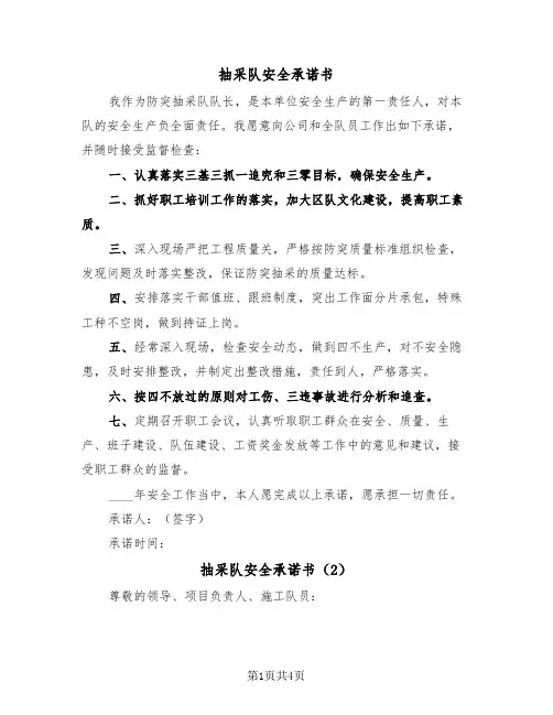 抽采队安全承诺书（2篇）