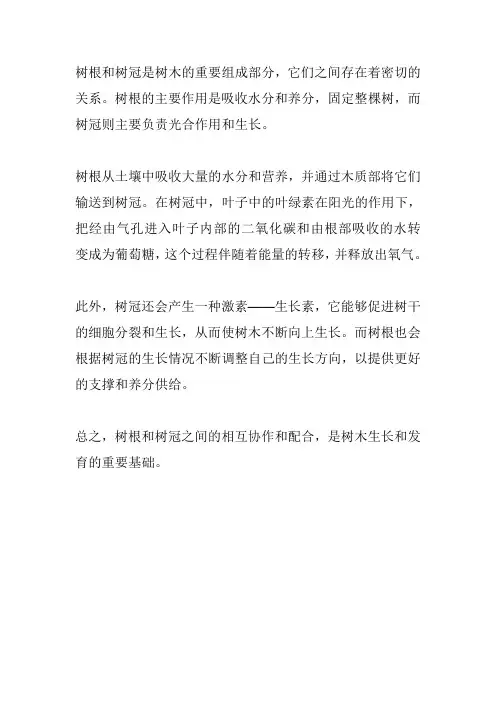 树根跟树冠的原理
