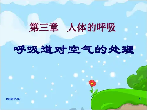人教版七年级下册生物 《呼吸道对空气的处理》人体的呼吸PPT教学课件3