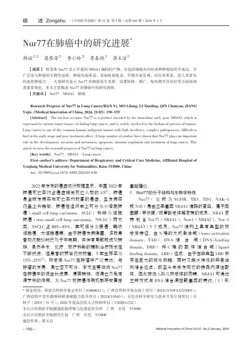 Nur77在肺癌中的研究进展