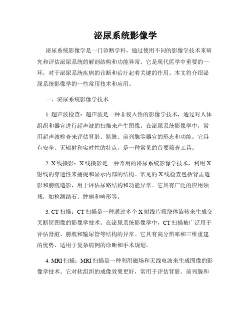 泌尿系统影像学