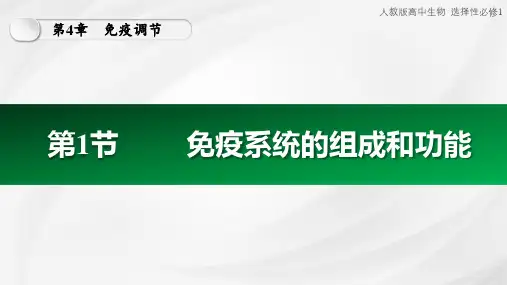 4.1免疫系统的组成和功能