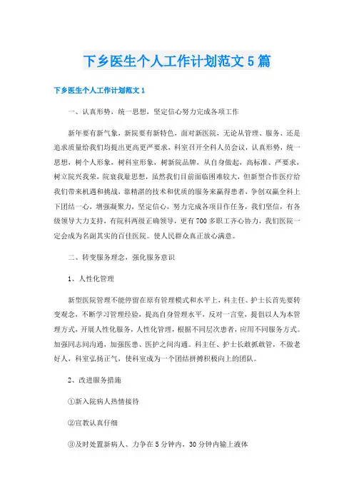 下乡医生个人工作计划范文5篇