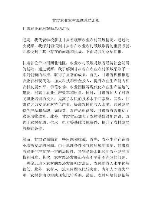 甘肃农业农村观摩总结汇报