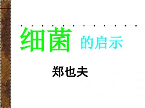 《细菌的启示》PPT课件3 (共18张PPT)