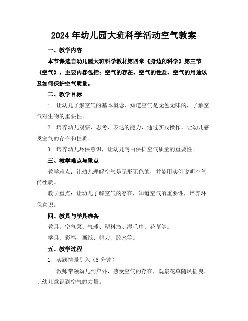 2024年幼儿园大班科学活动空气教案