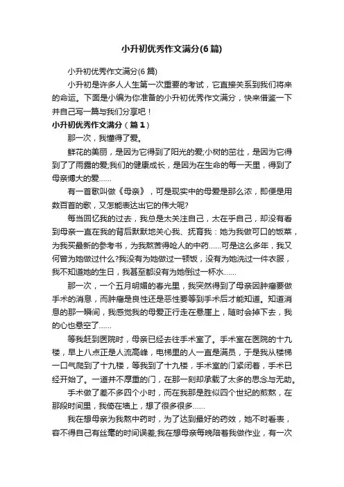 小升初优秀作文满分（6篇）