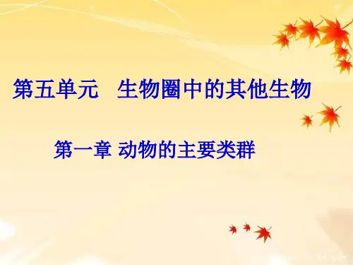 《扁形动物》课件