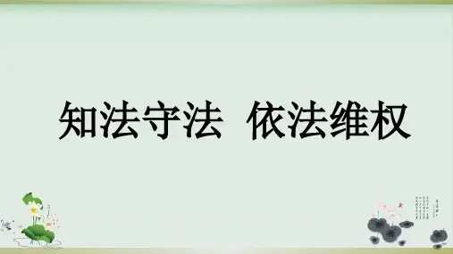 知法守法 依法维权PPT课件