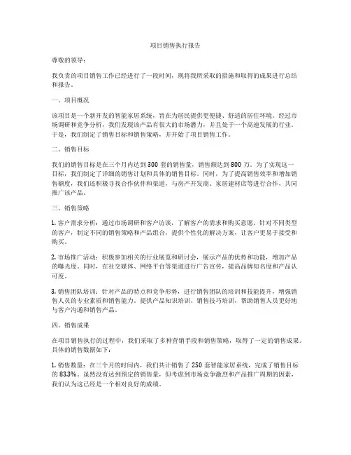 项目销售执行报告