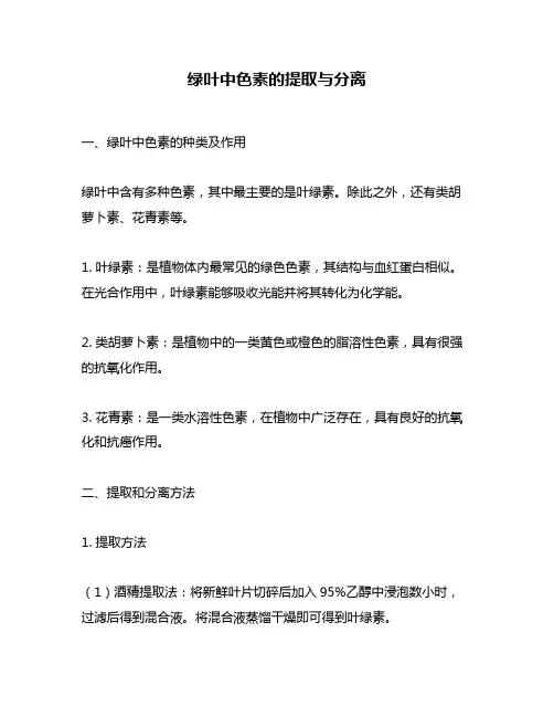 绿叶中色素的提取与分离