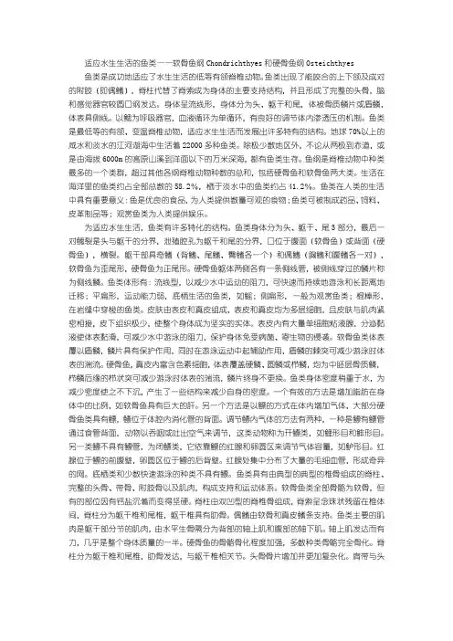 鱼纲