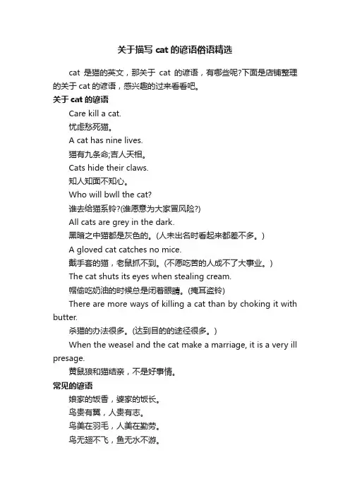 关于描写cat的谚语俗语精选