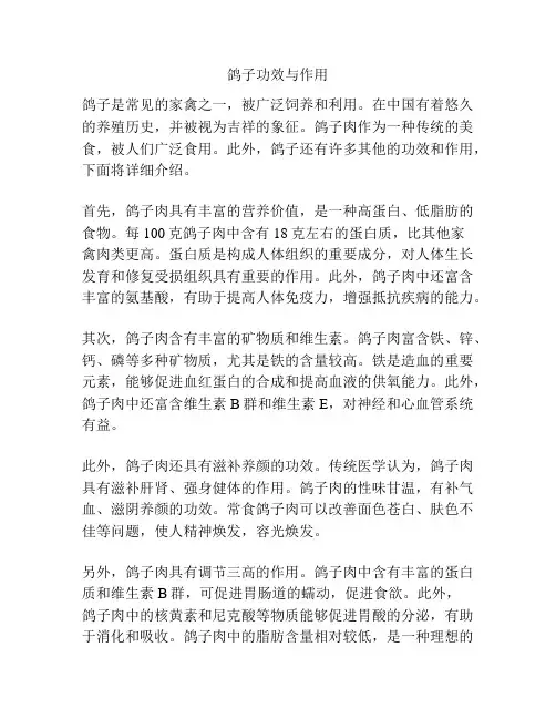 鸽子功效与作用