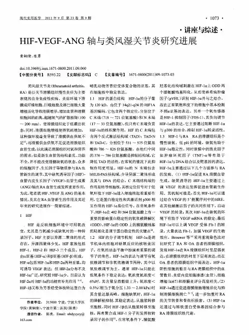 HIF-VEGF-ANG轴与类风湿关节炎研究进展