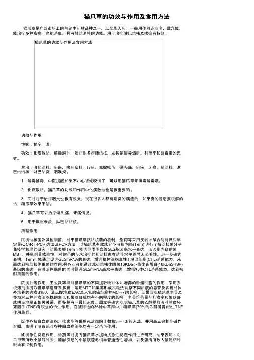 猫爪草的功效与作用及食用方法
