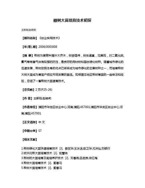 楸树大苗培育技术初探