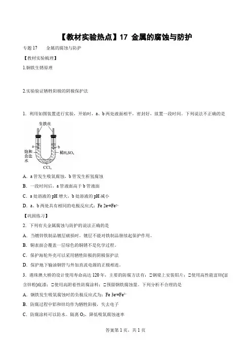 【教材实验热点】17金属的腐蚀与防护-(学生版+解析)